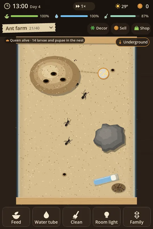 The ant farm